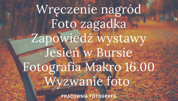 FOTO czwartek START